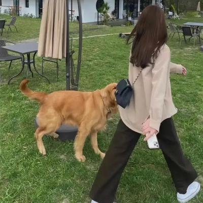 声波的转动者